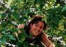 nin_tree