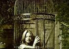 sarah-mclachlan-022-img